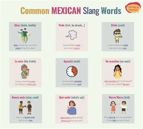 20 Mexican Slang Words and Phrases 